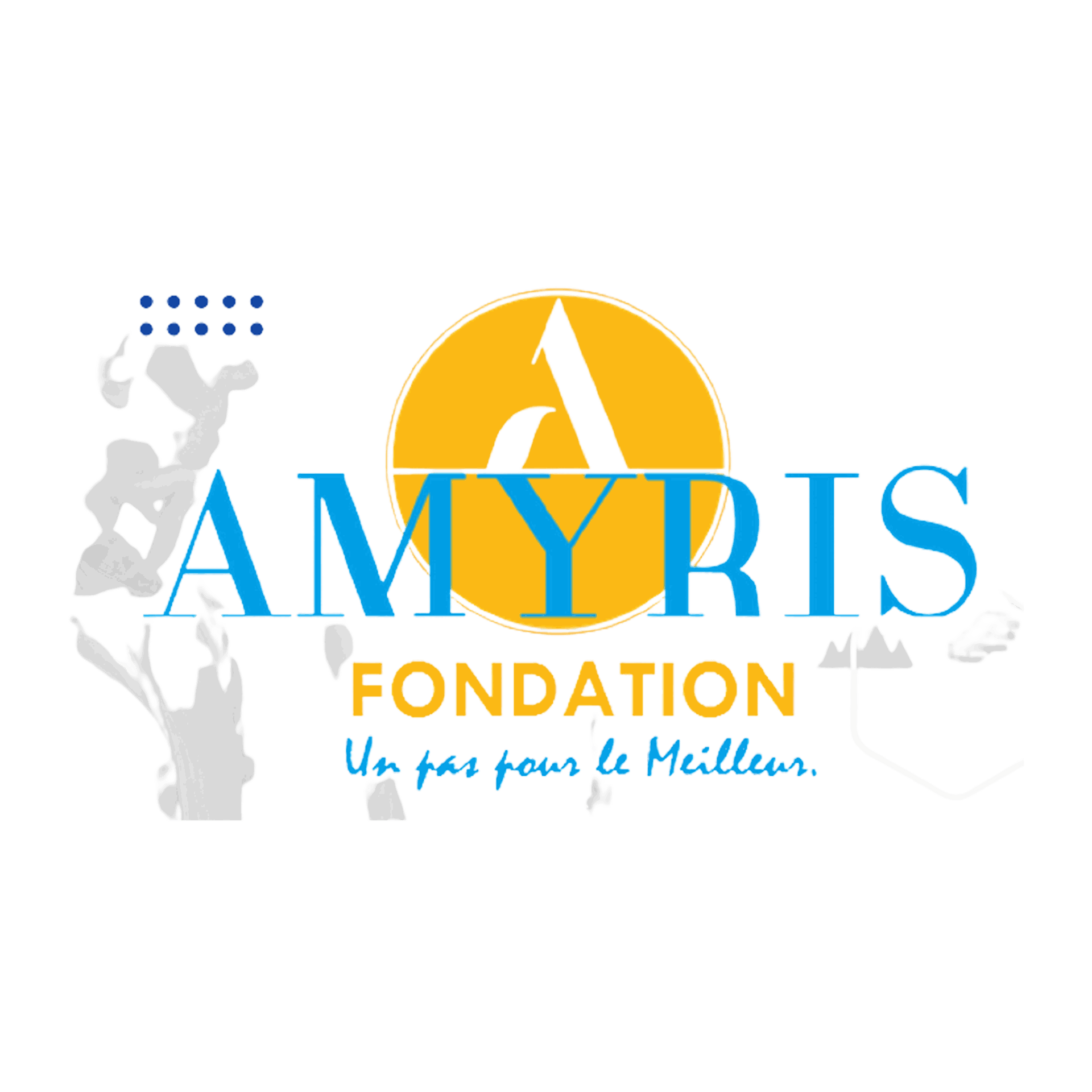 fondationamyris.com